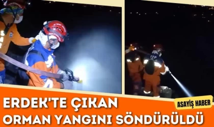 Erdek'te Çıkan Orman Yangını Söndürüldü