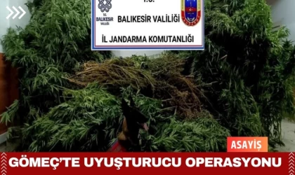 Gömeç’te Uyuşturucu Operasyonu