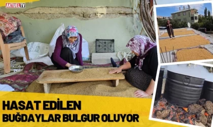 Hasat Edilen Buğdaylar Bulgur Oluyor