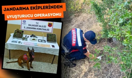 Jandarma Ekiplerinden Uyuşturucu Operasyonu