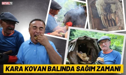 Kara Kovan Balında Sağım Zamanı