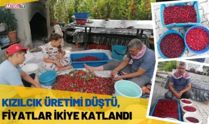 Kızılcık Üretimi Düştü, Fiyatlar İkiye Katlandı