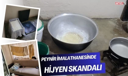  Peynir İmalathanesinde Hijyen Skandalı