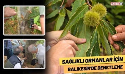 Sağlıklı Ormanlar İçin Balıkesir'de Denetleme