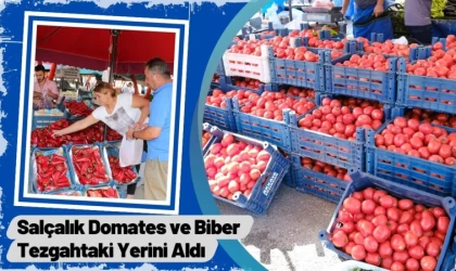 Salçalık Domates ve Biberler Tezgahtaki Yerini Aldı