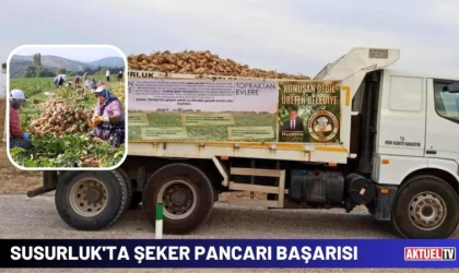 Susurluk'ta Şeker Pancarı Başarısı