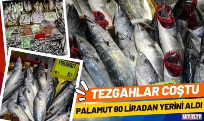 Tezgahlar Coştu, Palamut 80 Liradan Yerini Aldı