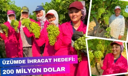 Üzümde İhracat Hedefi: 200 milyon Dolar