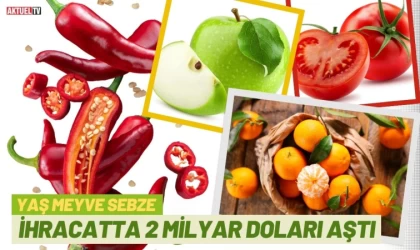 Yaş Meyve Sebze İhracatı 2 Milyar Doları Aştı