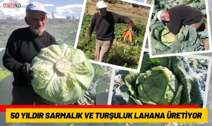 50 Yıldır Sarmalık ve Turşuluk Lahana Üretiyor