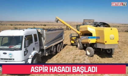 Aspir Hasadı Başladı