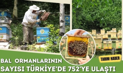 Bal Ormanlarının Sayısı 752'ye Ulaştı