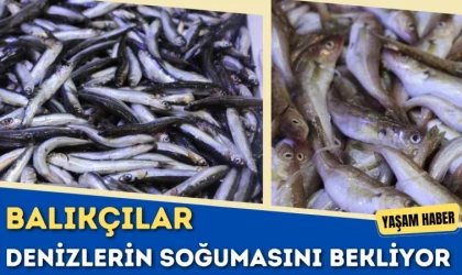 Balıkçılar Denizlerin Soğumasını Bekliyor