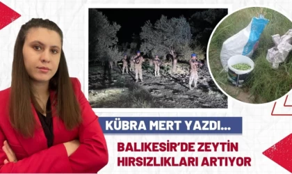 Balıkesir’de Zeytin Hırsızlığı Giderek Artıyor