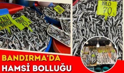 Bandırma'da Hamsi Bolluğu Yaşanıyor