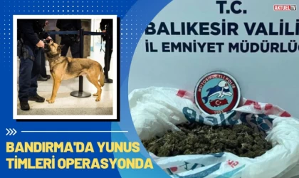 Bandırma'da Yunus Timleri Operasyonda