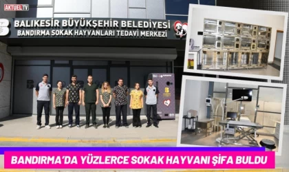 Bandırma’da Yüzlerce Sokak Hayvanı Şifa Buldu