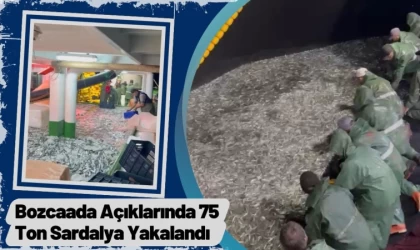 Bozcaada Açıklarında 75 Ton Sardalya Yakalandı