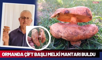 Çift Başlı Melki Mantarı Buldu