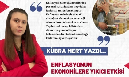 Enflasyonun Ekonomilere Yıkıcı Etkisi