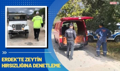 Erdek’te Zeytin Hırsızlığına Denetleme