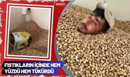 Fıstıkların İçinde Hem Yüzdü Hem Tükürdü