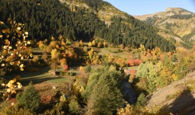 Foto-jeep Safari İle Sonbahar Görüntülendi