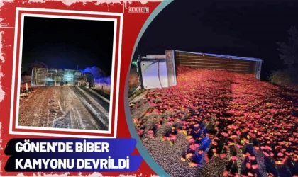 Gönen’de Biber Kamyonu Devrildi