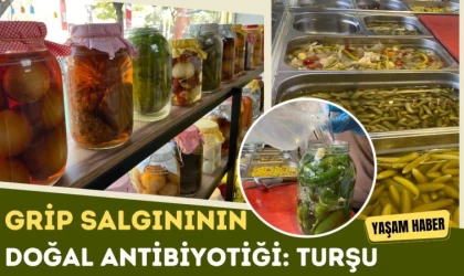 Grip Salgınının Doğal Antibiyotiği: Turşu