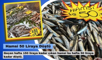 Hamsi 50 Liraya Düştü