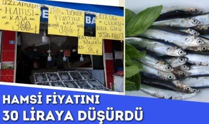 Hamsi Fiyatını 30 Liraya Düşürdü