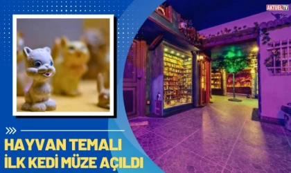 Hayvan Temalı İlk Kedi Müze Açıldı