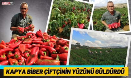 Kapya Biber Çiftçinin Yüzünü Güldürdü