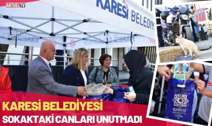 Karesi Belediyesi Sokaktaki Canları Unutmadı