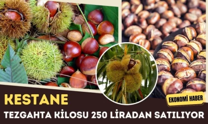 Kestane Tezgahlarda: Kilosu 250 Lira