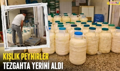 Kışlık Peynirler Tezgahta Yerini Aldı