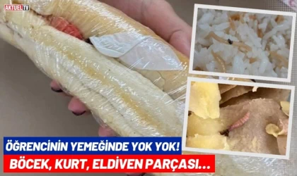 Öğrencinin Yemeğinde Yok Yok! Böcek, Kurt, Eldiven Parçası…