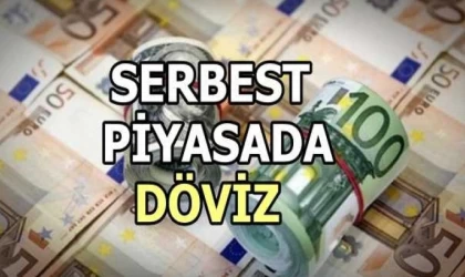 Serbest Piyasada Döviz Fiyatları