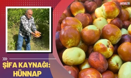 Şifa Kaynağı: Hünnap