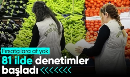 Türkiye’nin 81 İlinde Gıda Denetimleri Başladı