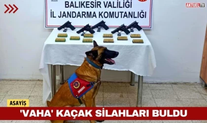 'Vaha' Kaçak Silahları Buldu