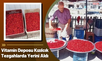 Vitamin Deposu Kızılcık Tezgahlarda Yerini Aldı