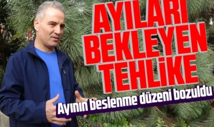 Yiyecek Verilen Ayıları Bekleyen Tehlike