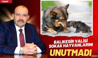 Balıkesir Valisinden Sokak Hayvanları Talimatı