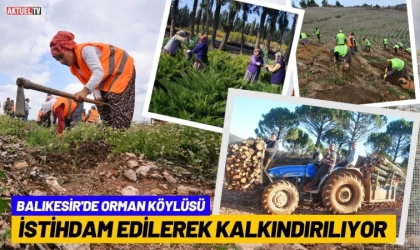 Balıkesir’de Orman Köylüsü İstihdam Edilerek Kalkındırılıyor