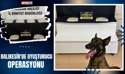 Balıkesir'de Uyuşturucu Operasyonu