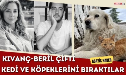 Dolandırdılar, Kedi ve Köpeklerini Arkada Bıraktılar