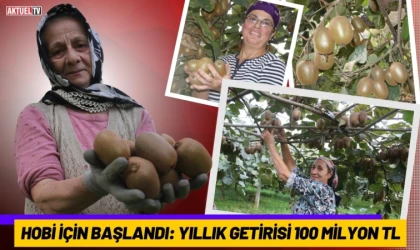 Hobi İçin Başlandı: Yıllık Getirisi 100 Milyon TL