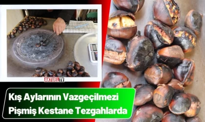 Kış Ayları Vazgeçilmezi: Pişmiş Kestane