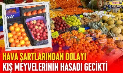 Kış Meyvelerinin Hasadı Gecikecek